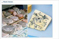 Mould cheeses