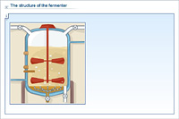 The structure of the fermenter