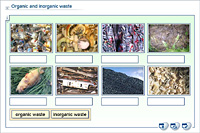 Organic and inorganic waste