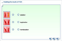 Analizing the results of FISH