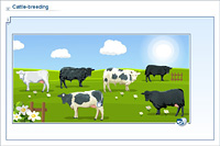Cattle-breeding