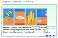 Stages in the development of a new plant variety