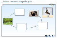 Predation – relationships among animal species