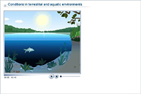 Conditions in terrestrial and aquatic environments