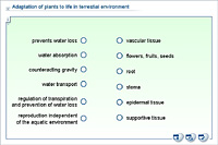 Adaptation of plants to life in terrestial environment