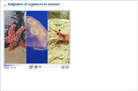 Adaptation of organisms to osmosis