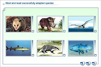 Most and least successfully adapted species