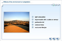 Effects of the environment on adaptation