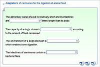 Adaptations of carnivores for the digestion of animal food