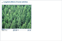 Long-term effects of human activities