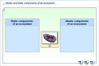 Abiotic and biotic components of an ecosystem