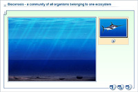 Biocenosis - a community of all organisms belonging to one ecosystem