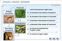 Producers – consumers – decomposers