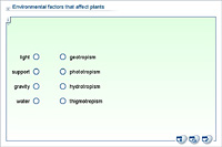 Environmental factors that affect plants