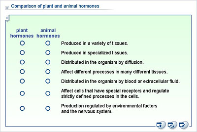 Biology - Lower Secondary - YDP - Whiteboard exercise - Comparison of plant  and animal hormones