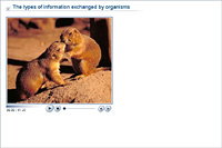 The types of information exchanged by organisms