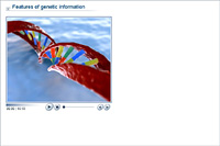 Features of genetic information
