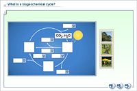 What is a biogeochemical cycle?