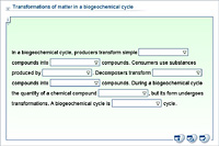 Transformations of matter in a biogeochemical cycle