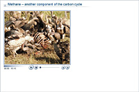 Methane – another component of the carbon cycle