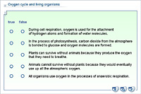 Oxygen cycle and living organisms