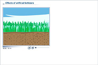 Effects of artificial fertilizers