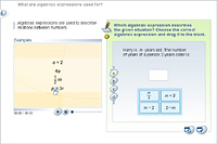 What are algebraic expressions used for?