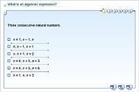 What is an algebraic expression?