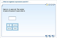 What are algebraic expressions used for?