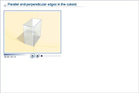 Parallel and perpendicular edges in the cuboid