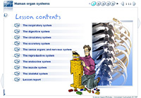Human organ systems