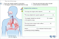 The role of the lungs