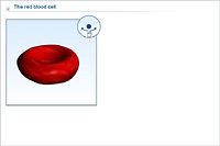 The red blood cell