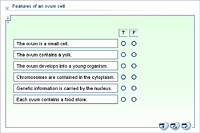 Features of an ovum cell