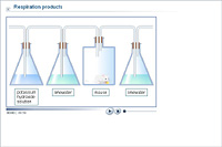 Respiration products
