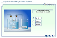 Experiment to detect the products of respiration