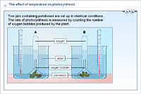 The effect of temperature on photosynthesis