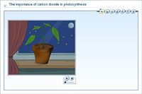 The importance of carbon dioxide in photosynthesis