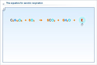 The equation for aerobic respiration