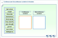 Continous and discontinuous variation in humans
