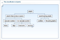 The classification of plants