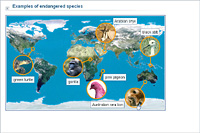 Examples of endangered species