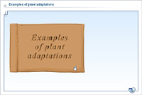 Examples of plant adaptations