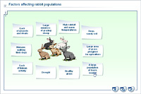 Factors affecting rabbit populations
