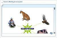 Factors affecting an ecosystem
