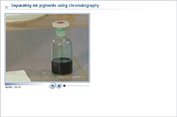 Separating ink pigments using chromatography