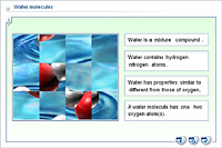 Water molecules