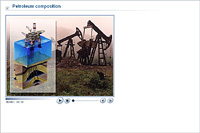 Petroleum composition
