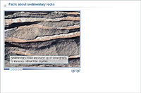 Facts about sedimentary rocks