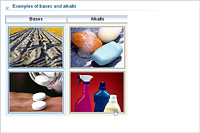 Examples of bases and alkalis